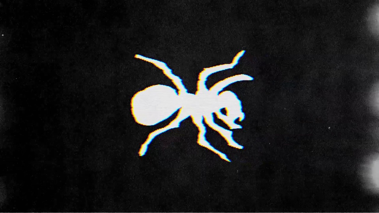 The Prodigy - Run With The Wolves (Live In China)