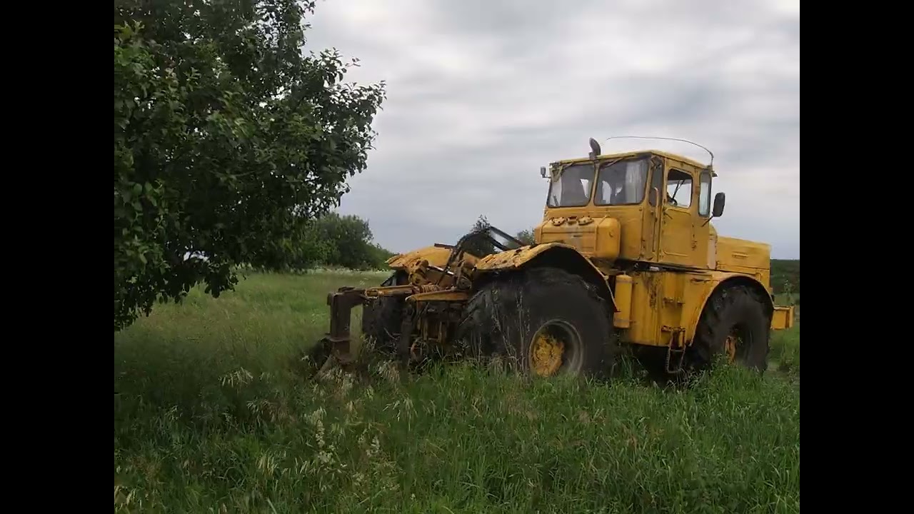 К-700 + крокодил в деле