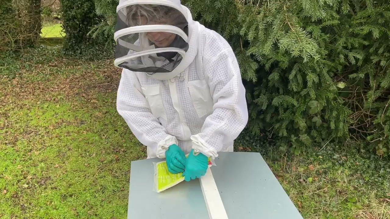 Thorne Beehives - Fondant Aid