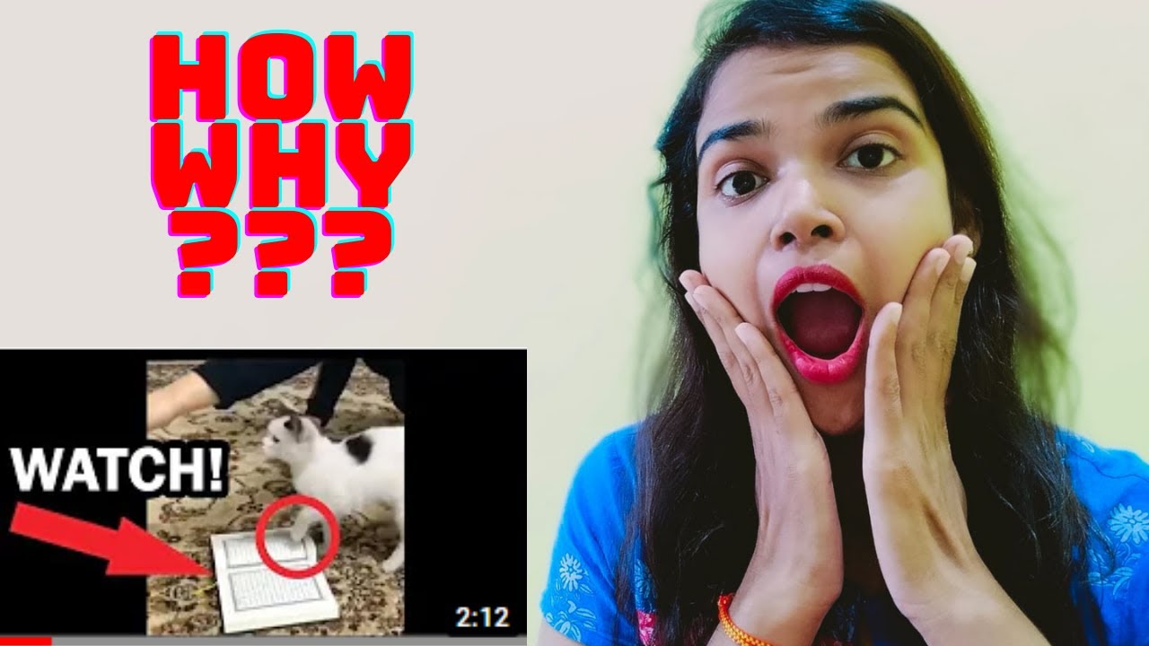 Hindu Girl Reacts To MIRACLES OF ALLAH | CAT WILL NOT WALK ON THE QURAN |MIRACLES OF QURAN|REACTION|