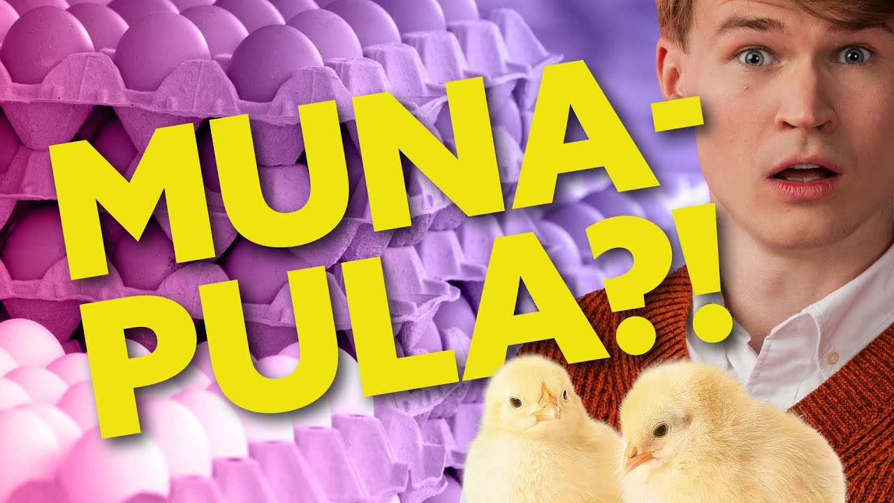 KÄVIN KANALASSA?! – PIENIÄ TIPUJA JA 