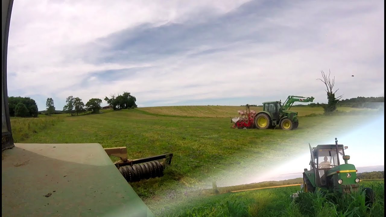 Semis de Maïs bio en direct sur couvert végétal et désherbage mécanique /Sola /Roll'N'Sem [GoPro]