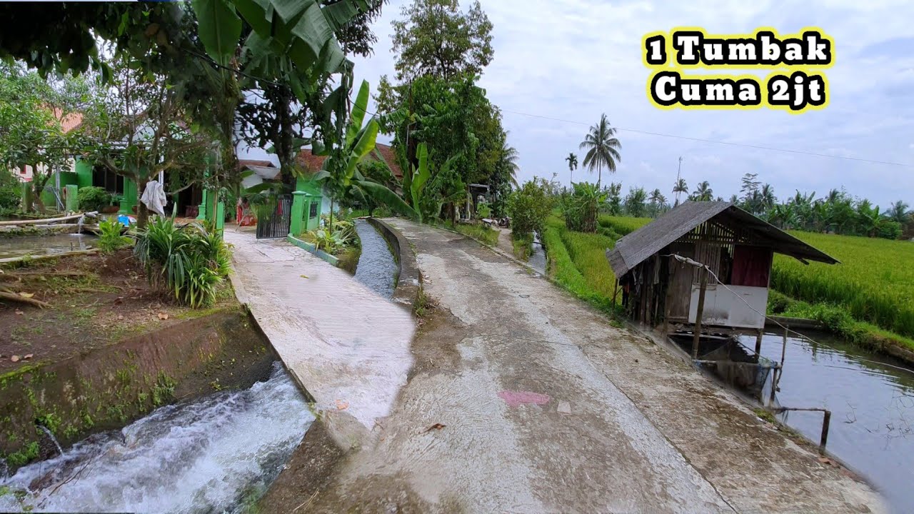 Siapa Yang Gak Jatuh Cinta Lihat Kampung Seindah ini😍, Airnya Subur Banget Pinggir Jalan (Eps-16)