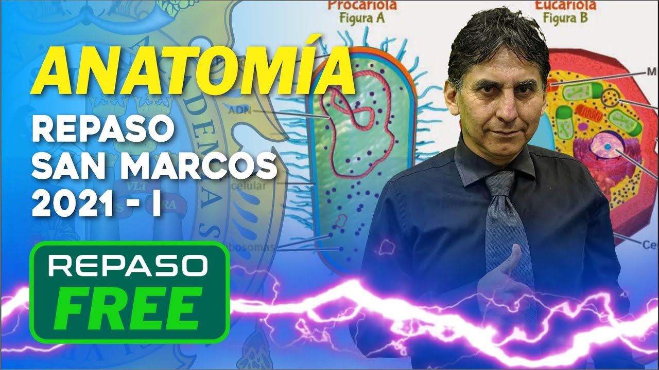ANATOMÍA ✅Repaso San Marcos 2021 - I 📢 Full DECO 🧐