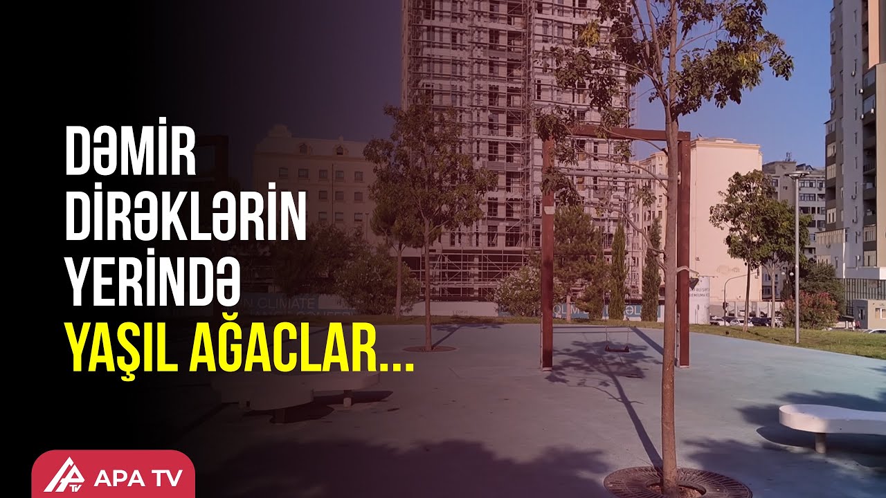 Bakının mərkəzində yeni yaşıl zolaq: keçmiş Sovetski necə dəyişdi? - APA TV