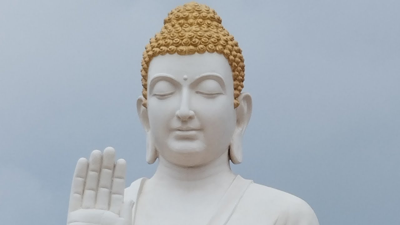 #investsmart #commericalplots #tsrera #realestate #hmda #organicfarming #cricket #rrr #buddha #plots