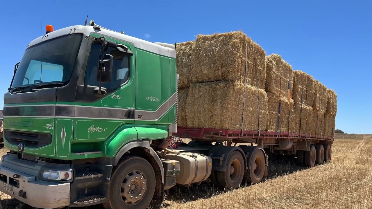 Harvest 2025 with Chaff Cart and Baleing