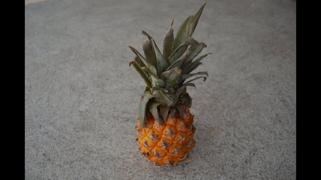 How to Prepare & Eat Baby Pineapples: Cooking with Kimberly