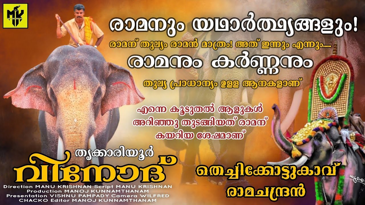 ആളുകൾ പറയുന്ന പോലൊരു ആനയല്ല രാമൻ ❤️ ആളൊരു പാവമാണ് | തൃക്കാരിയൂർ വിനോദ് | MK YouTube Channel