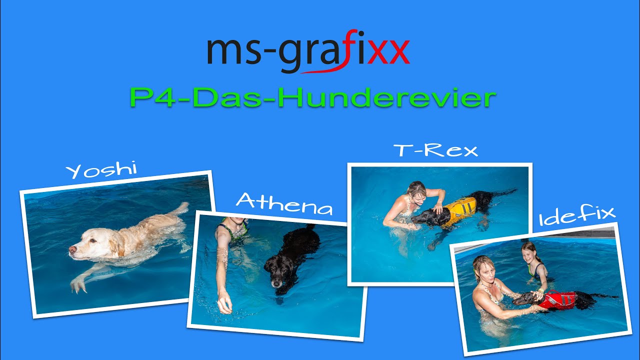 Welpenschwimmen mit Anfängern