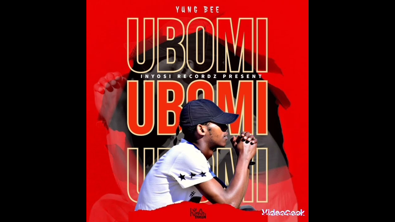 YUNG BEE INYOSI - UBOMI MP3