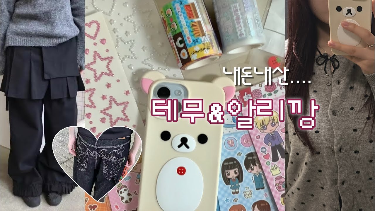 내돈내산 느좋템 발굴하기.. 테무 & 알리깡 ♡..