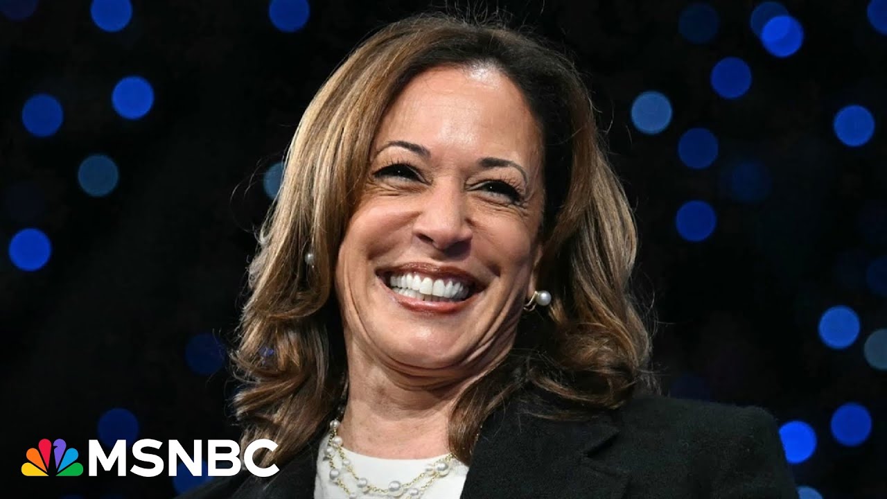 Harris is ‘where she needs to be’ in swing states to capture Latino vote: Rep. Garcia