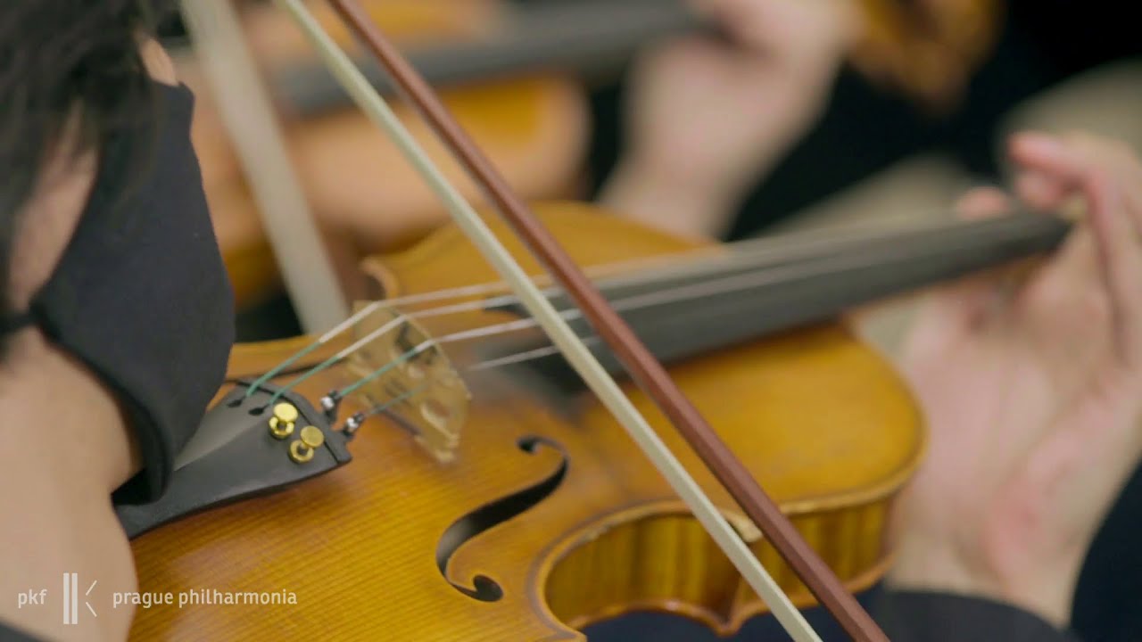 Haydn a Mozart v podání Smyčcového kvarteta PKF — Prague Philharmonia