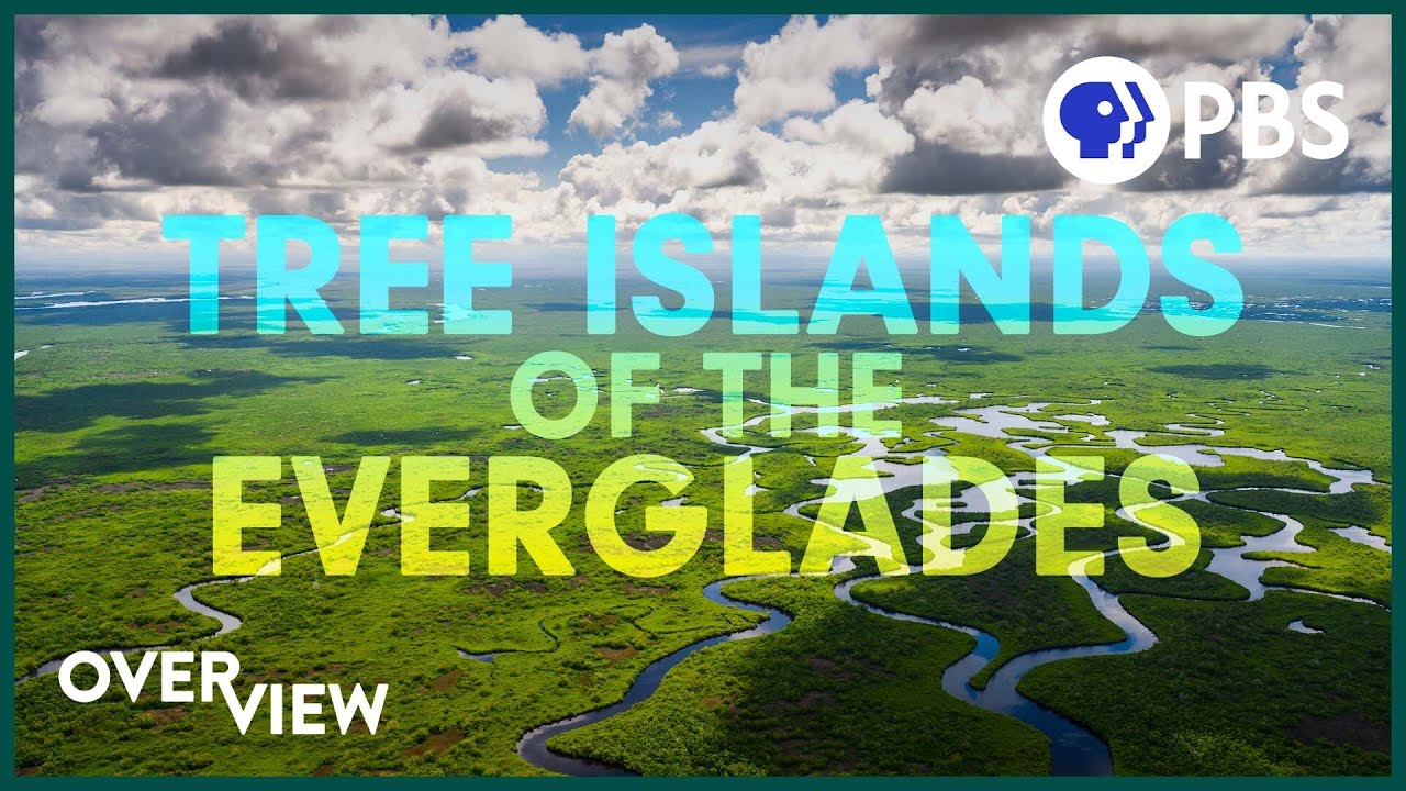 The Secret Islands of the Everglades