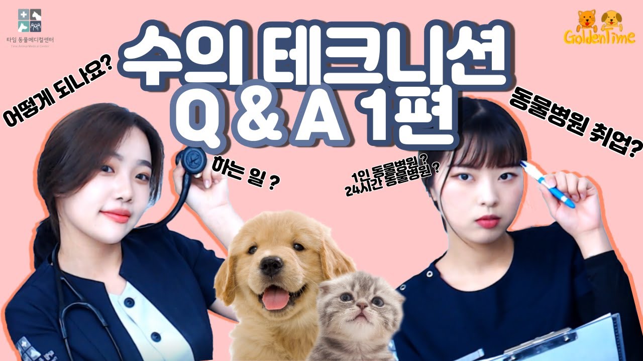 [골든타임] 수의테크니션에 대한 궁금증 모두 풀어드립니다 Q & A _#1