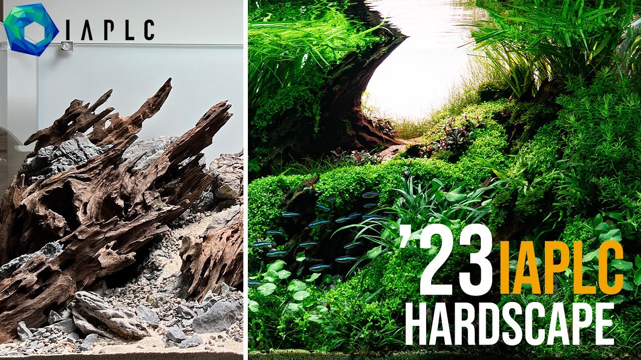 2023 IAPLC hardscape — Золотой час