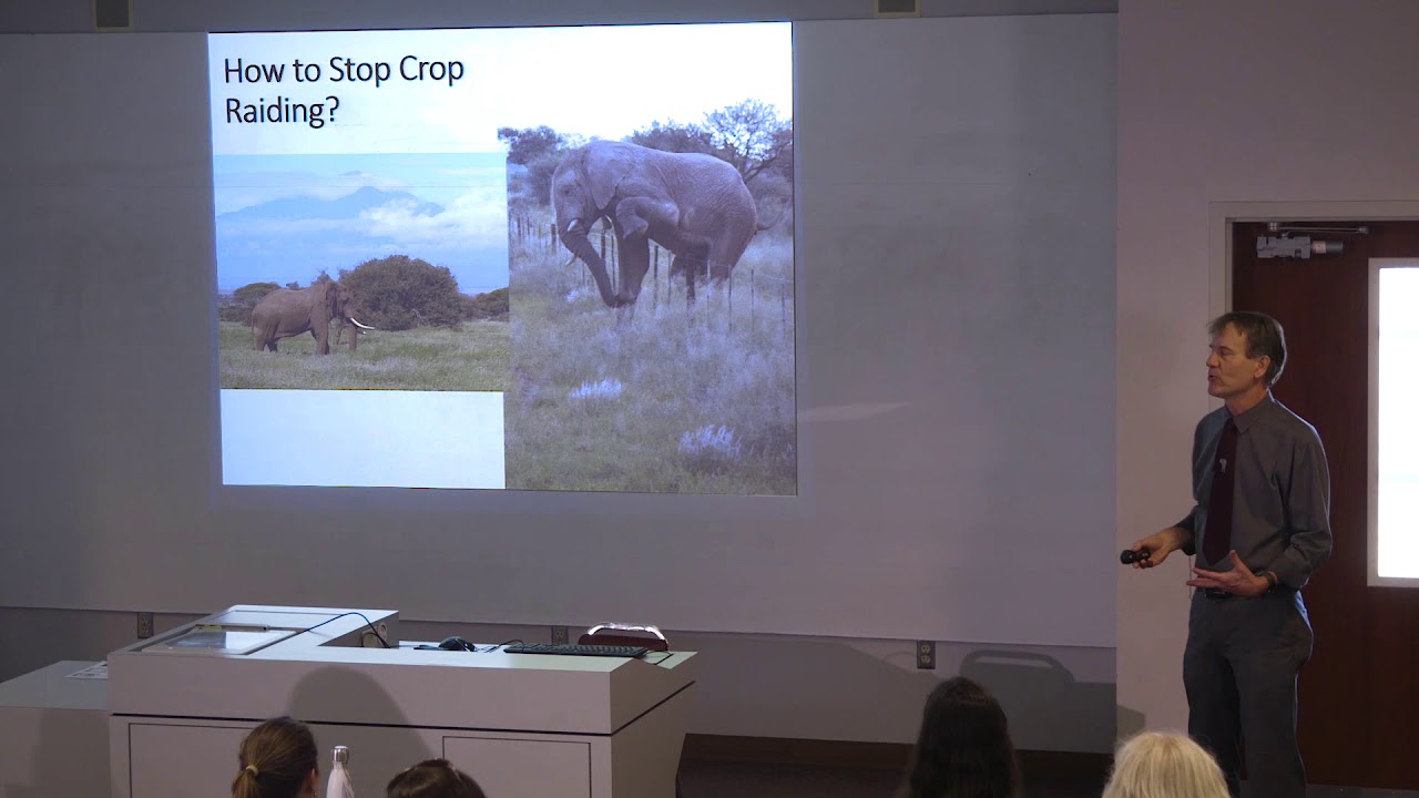 How do you do Conservation Behavior? Case Study on Elephants. by Bruce Schulte