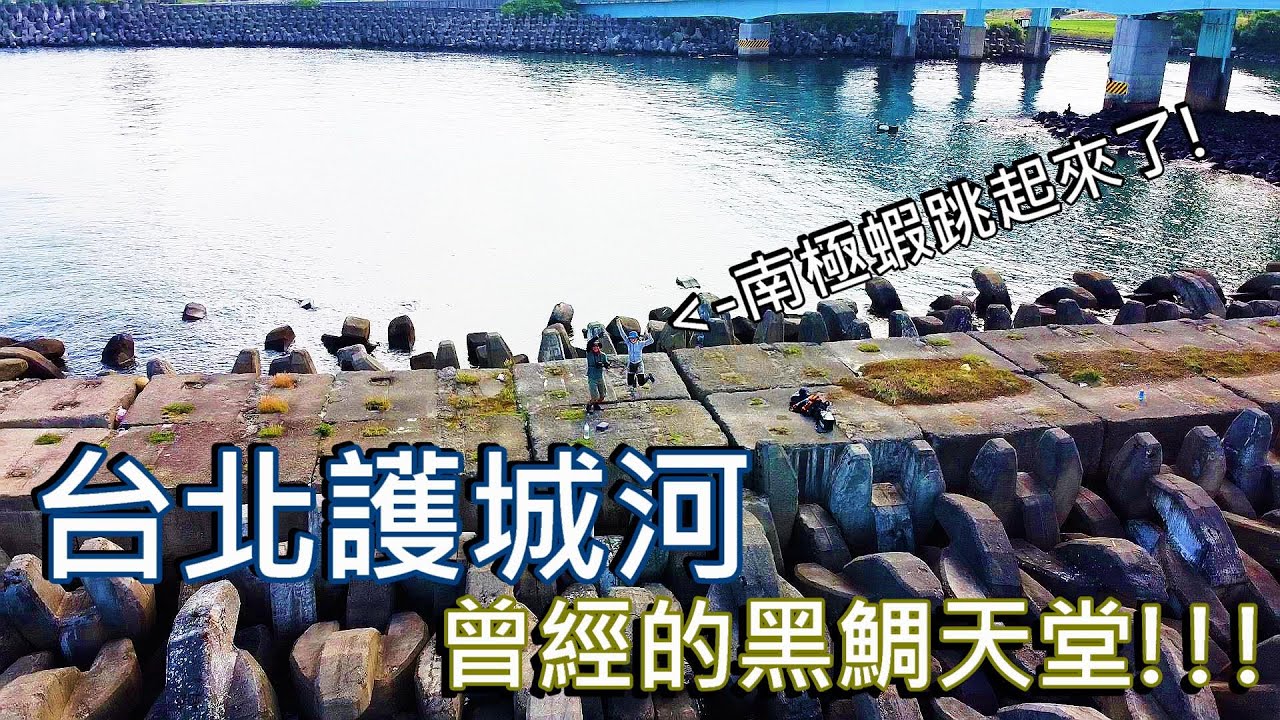 曾經的黑鯛天堂，台北護城河 @釣一隻魚