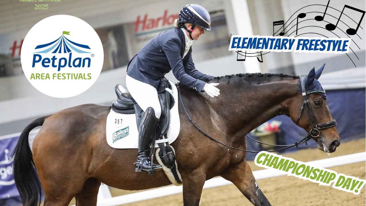 SHORT & SWEET! PETPLAN SUMMER AREA FESTIVAL CHAMPS 🎶✨ ELEMENTARY FREESTYLE ~ Adventures of Megatron