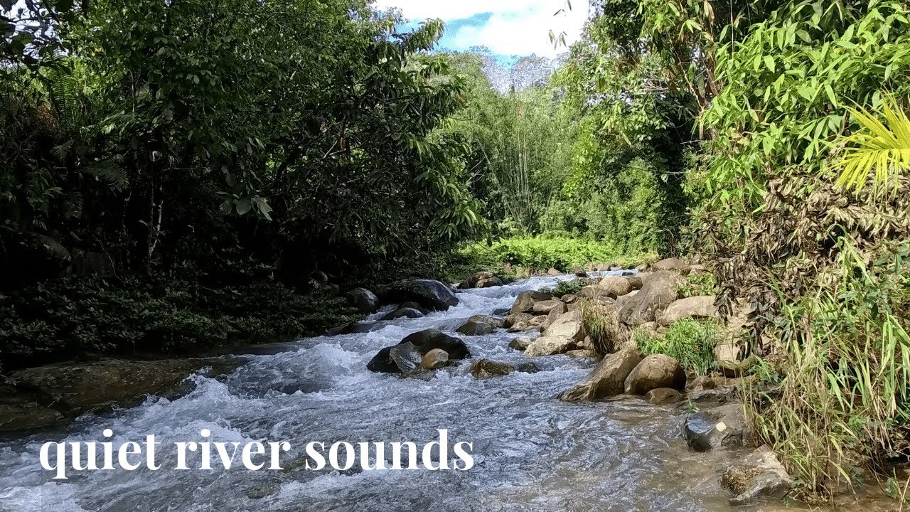 quiet river sounds (no music) | for anyone who needs a quiet day