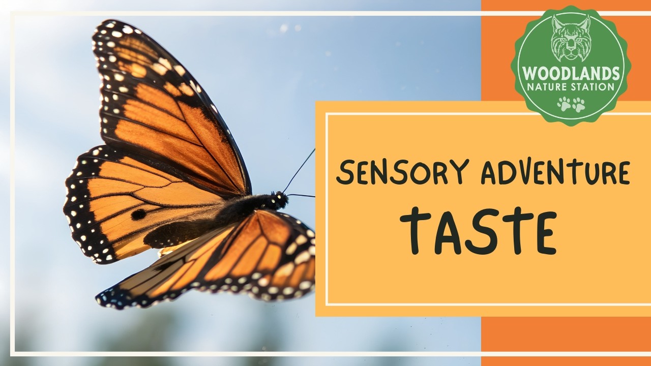 Sensory Adventure:  Taste