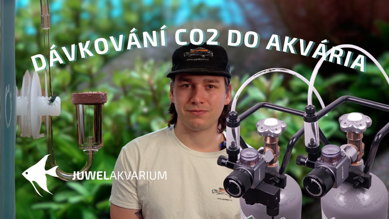 Vše co potřebujete vědět o dávkování CO2 do akvária