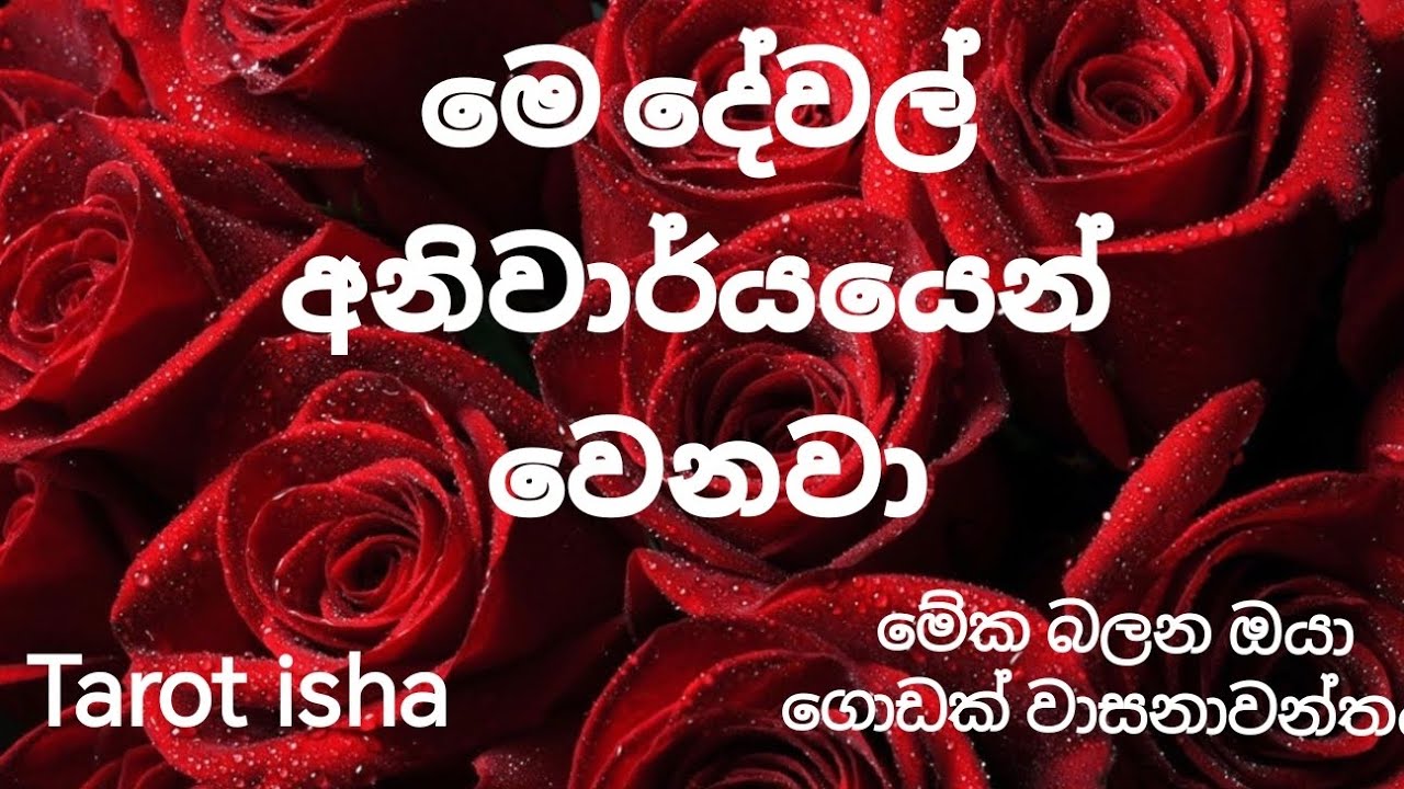 මේ දේවල් අනිවාර්යයෙන් වෙනවා Tarot reading 