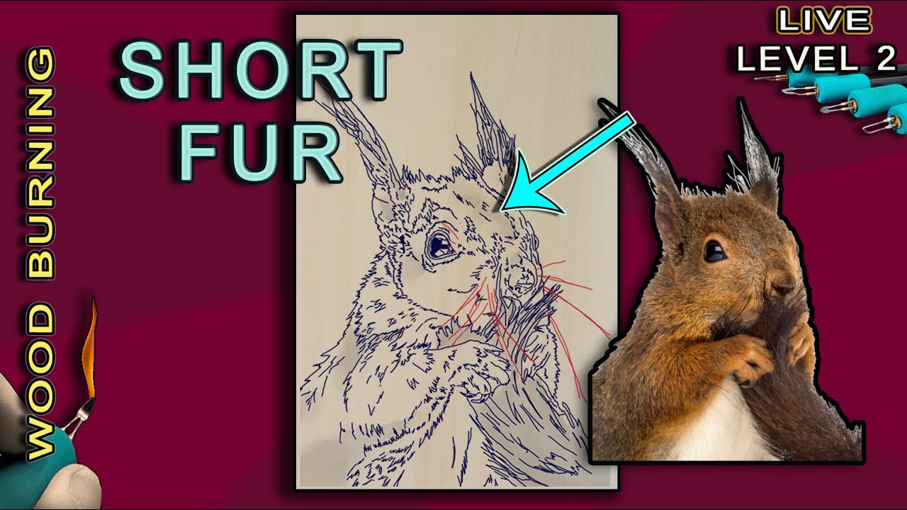 Pyrography: Wood Burning Short Fur / Squirrel!