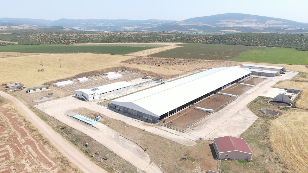 MEF GYD'den KARACABEY'de SATILIK BÜYÜKBAŞ SÜT VE BESİ ÇİFTLİĞİ