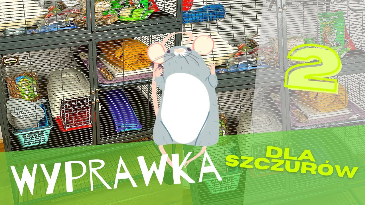 Wyprawka dla szczurów - edycja 2. 🐀🐀🐀 | Szczuromania #23