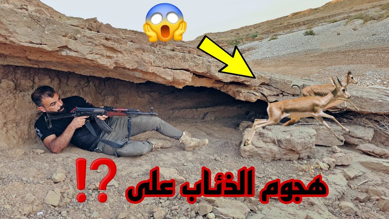 العثور على غزال الريم في جبال العراق 😱 Find the deer