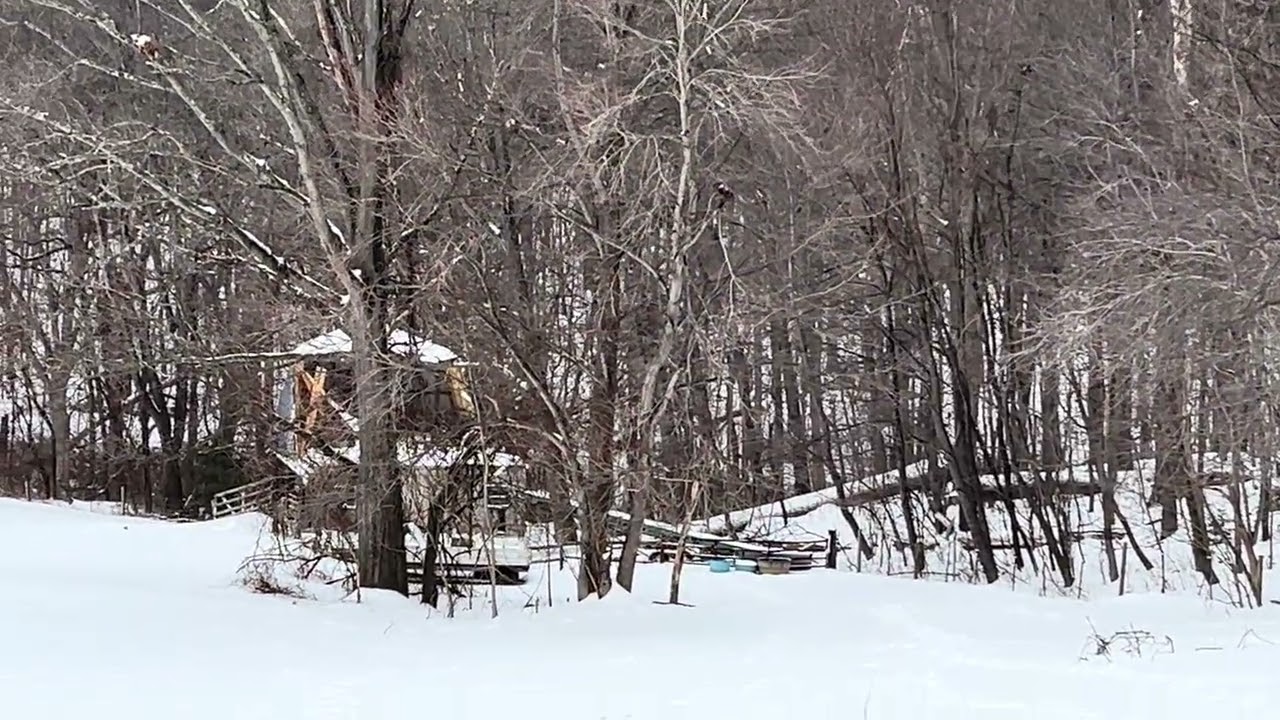 Dealing with the Snow Today