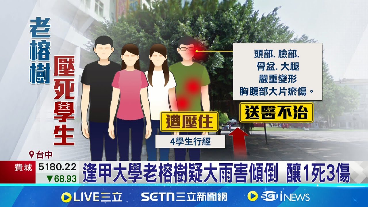 男碩生遭榕樹壓死 家屬到場痛哭癱軟 心碎!情侶散步遇死劫 女友目睹男友被壓死 遇橫禍全身骨折變形 男學生家屬忍痛放手│記者 劉瀚煒│新聞一把抓20250614│三立新聞台