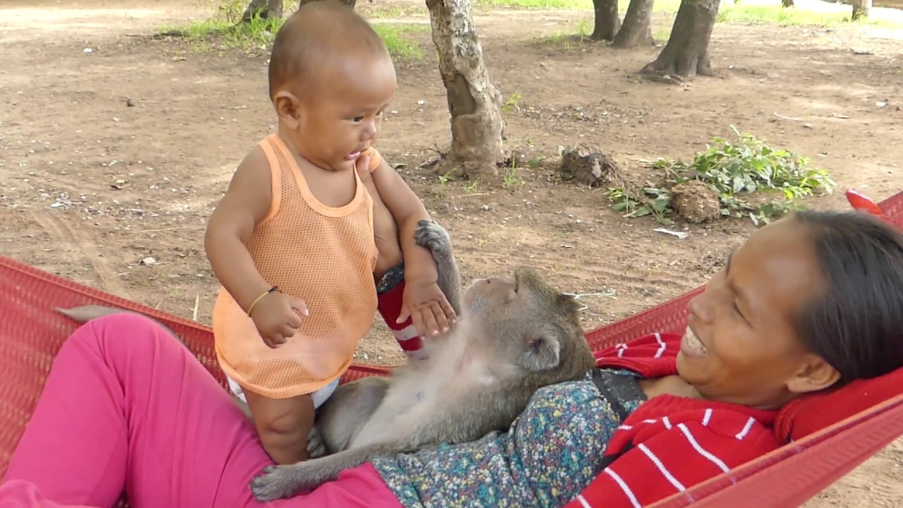Monkey Vs Baby Human, How Sweet Sok Vs Baby And Good Relationship Monkey Vs Human
