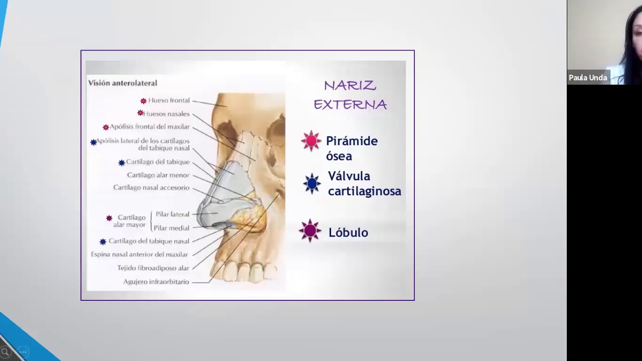 Mejorando el perfil del rostro con Neuramis Volume.