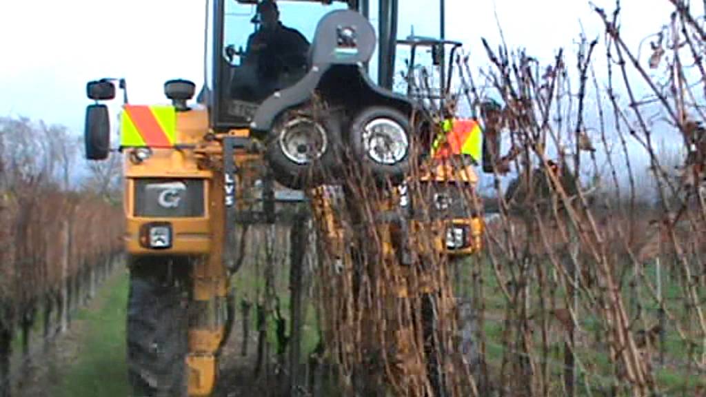 LANGLOIS VINESTRIPPER / SHREDDER MOUNTED ON GREGOIRE