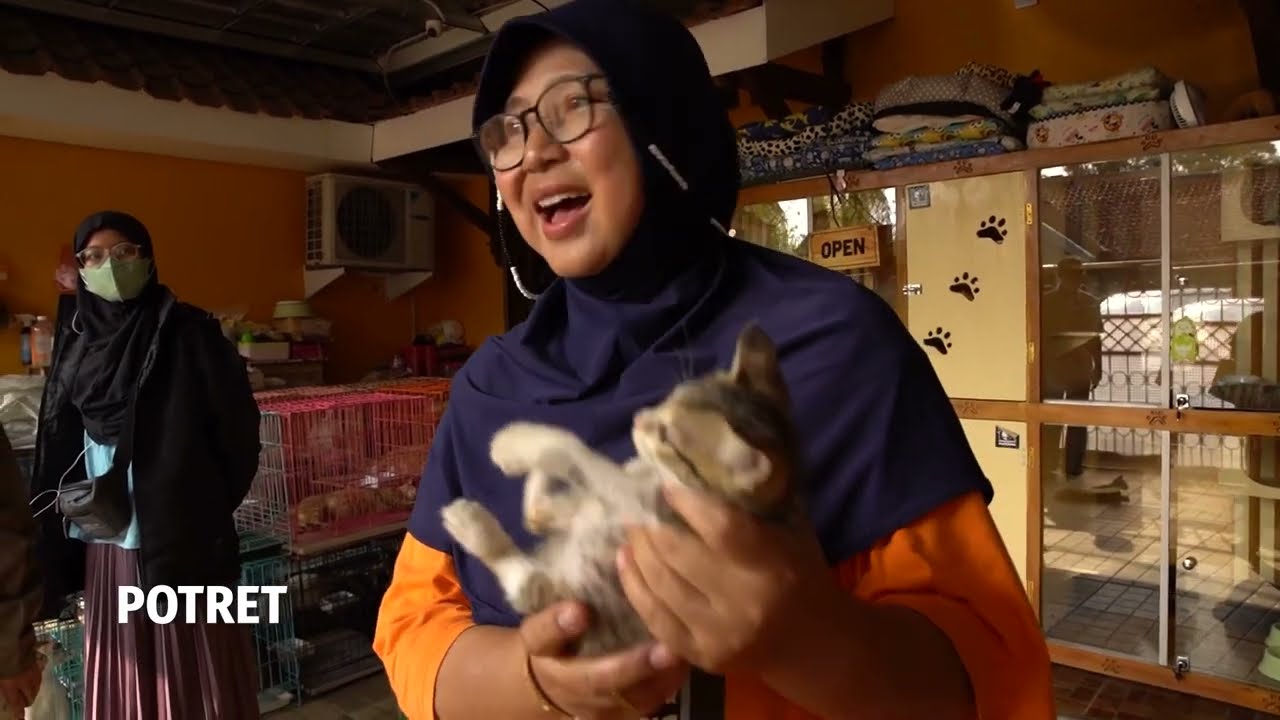 Viral, Dita Rela Merawat Ratusan Kucing Telantar, Bahkan Dibangun Juga Rumah Khusus Kucing!   Potret
