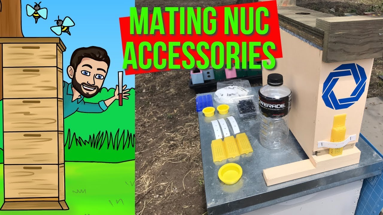 2 Frame Mating Nuc Accessories...  Do I need them?  You decide😉