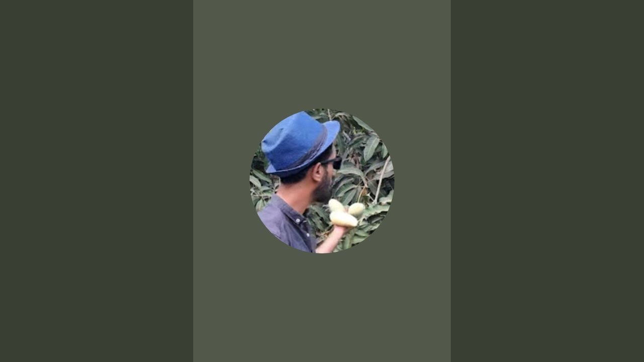 بدأت قناة 