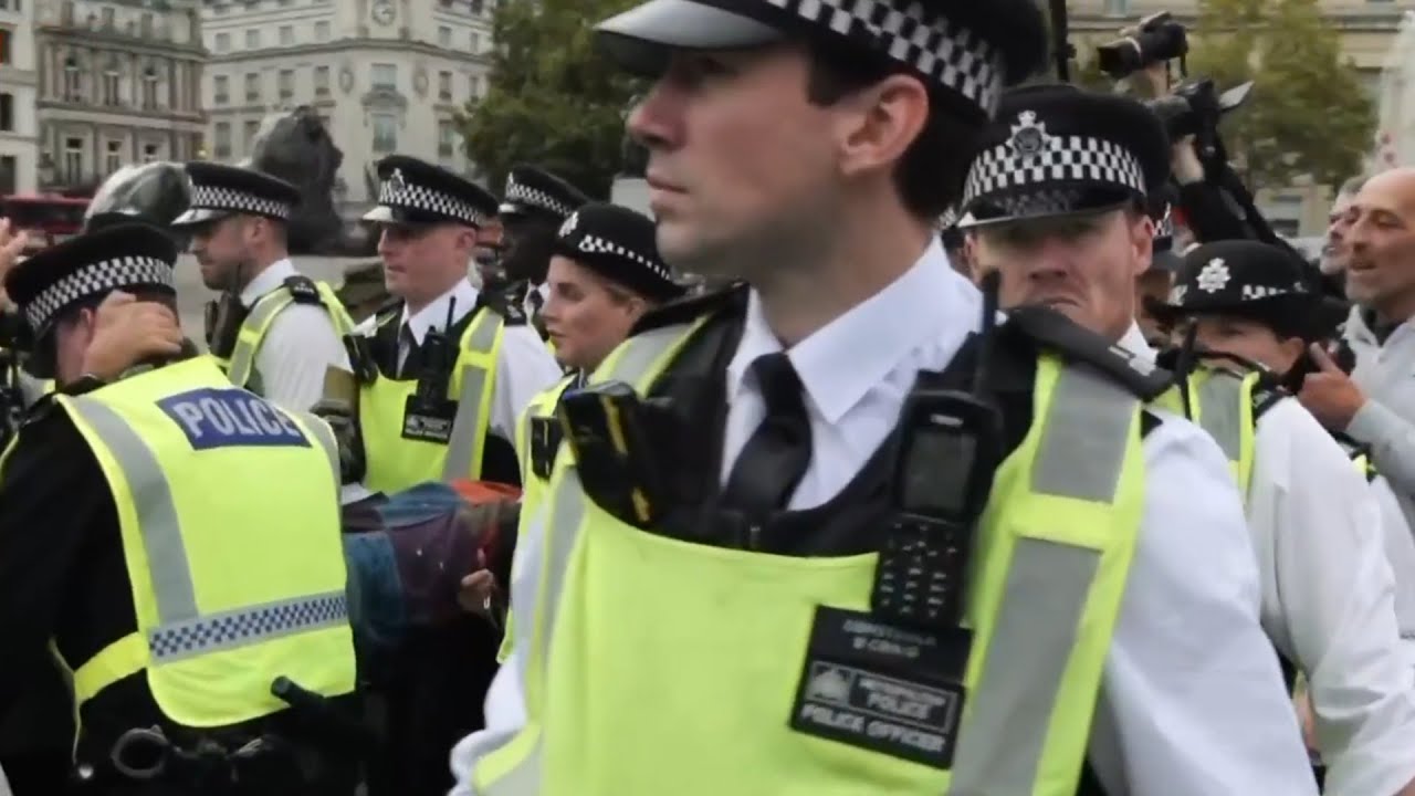 Pro-Palestine protest in London leads to mass arrests