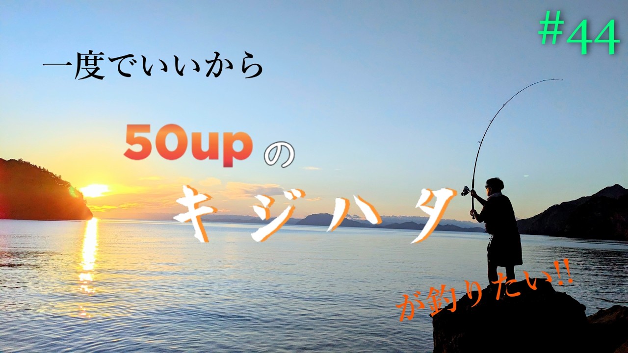 【30upの、横走り】一度でいいから50upのキジハタが釣りたい!!#44【ロックフィッシュ】