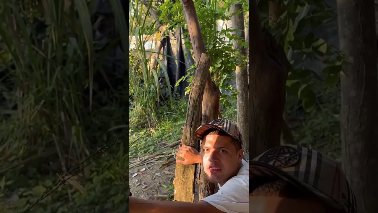 Ella fue la de la plata beto