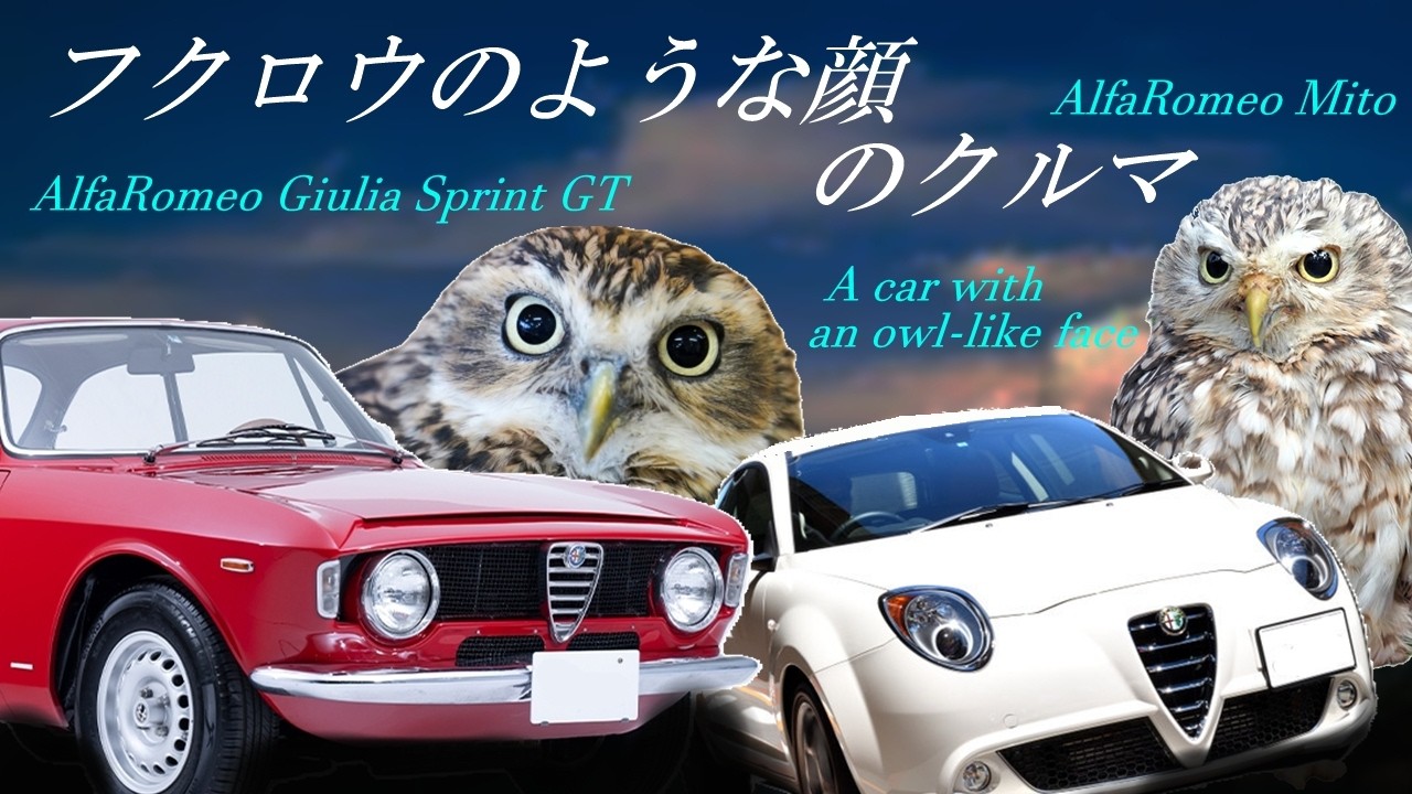昔のアルファロメオはフクロウのような顔つきだった！いや最近でもMITOや4Cはフクロウだ。精悍なフクロウ、優しいフクロウ、どうしてイタリア車ってこんなにデザインが素晴らしいんだろう#アルファロメオ,