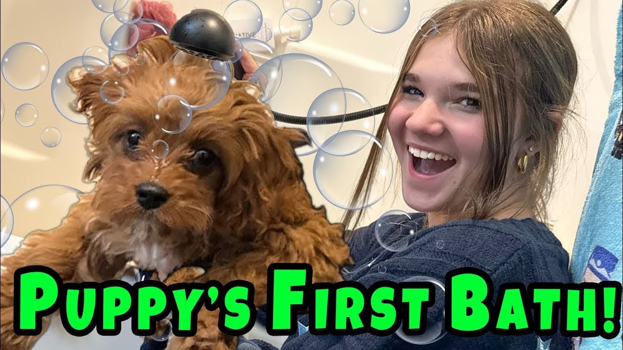 Puppy's First Bath!