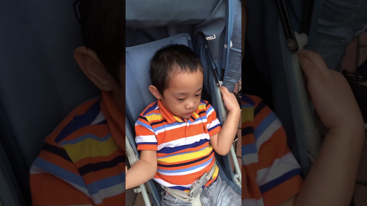 Disney Friends Springtime Processional