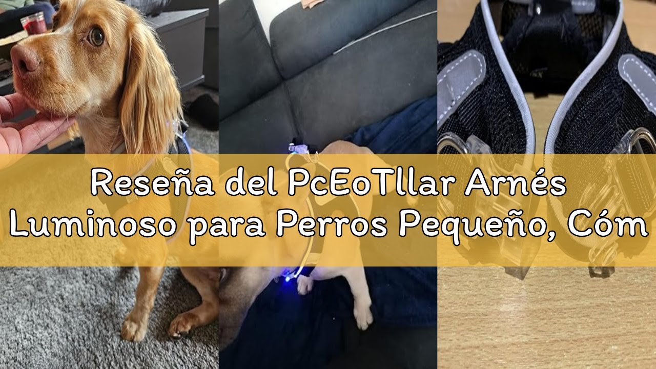 Reseña del PcEoTllar Arnés Luminoso para Perros Pequeño, Cómoda ArnéS LED Perro Recargable 3 Modos A