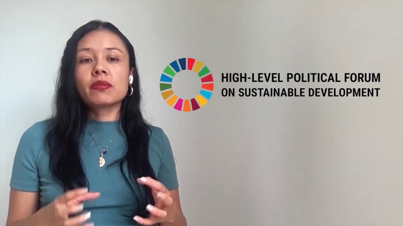 ILGA World's engagement at the United Nations High-Level Political Forum