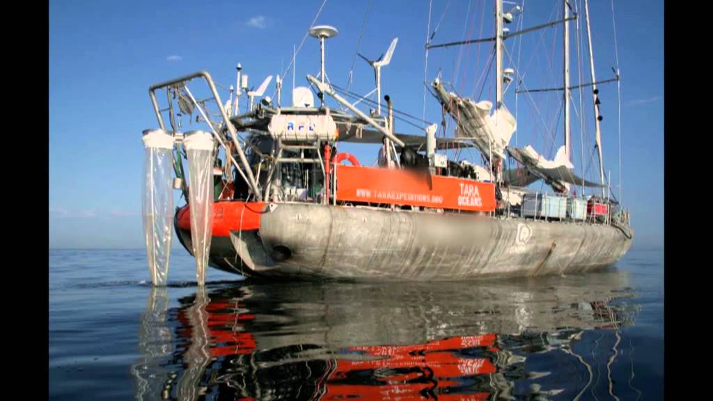 LES TRIBULATIONS D'ANTOINE SUR LE VOILIER D'EXPLORATION TARA