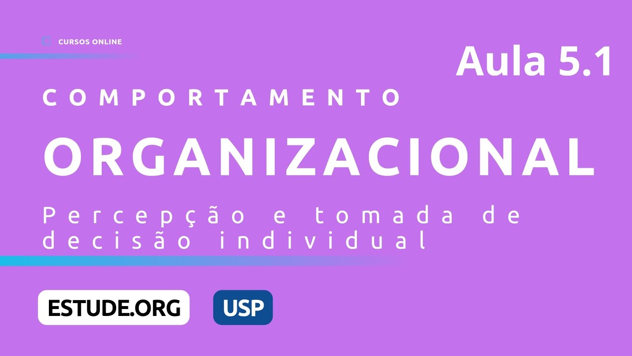 Comportamento Organizacional (Aula 5) - Percepção e tomada de decisão individual - Parte 1